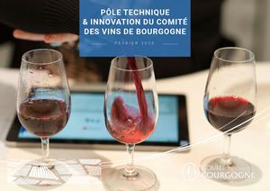 2026 Brochure Pole Technique Qualite Du Bivb