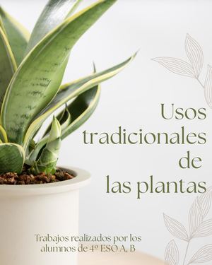 Plantas Tradicionales
