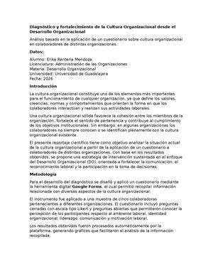 2 3 Dimensión Humana De Las Organizaciones Erika Renteria