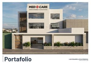 Portafolio Lecca Luis