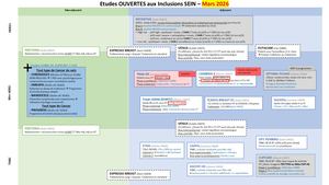 OCR_Senologie_03/2026