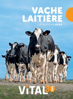 Catalogue Vaches Laitières 2026