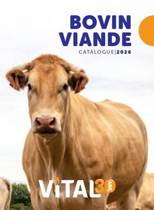 Catalogue Bovin Viande 2026