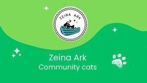 Zeina Ark Cats