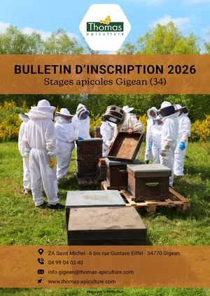 Gigean (34) Bulletin D'inscription Stages 2024