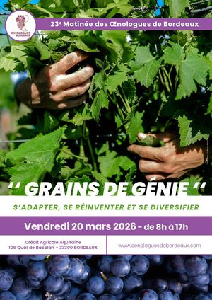 Brochure Moeb 2026 Vd2 Bd