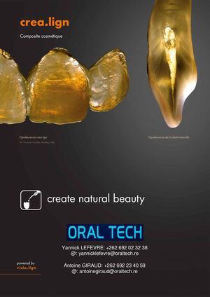 Brochure Crea Lign Chipping Repair Kit Ot