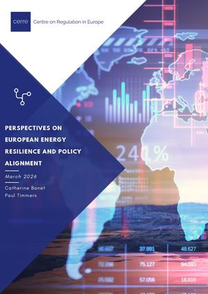 Perspectives On European Energy Resilience And Policy Alignment