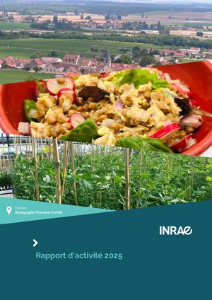 Rapport d'activité 2025