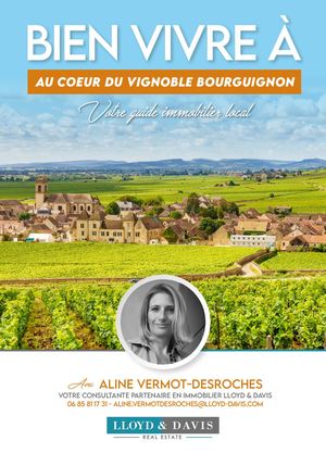 Bien Vivre À Au Coeur du Vignoble Bourguignon #1