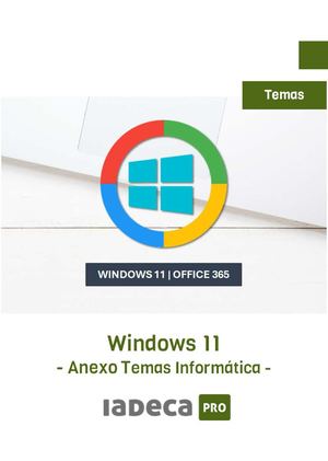 Windows 11 Con Indice