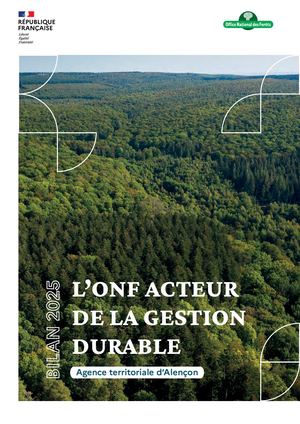 Rapport activités Alencon 2025