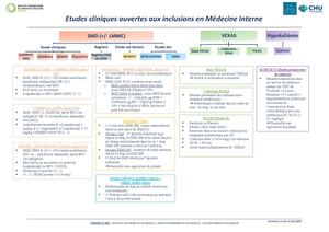 CHUTOULOUSE_SMD/VEXAS_02/2026