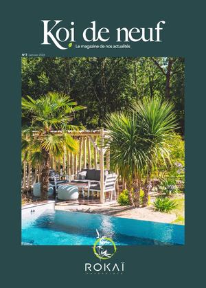 Koi De Neuf 2026 Version Site Web