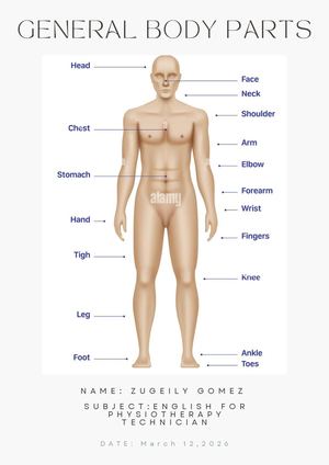 General Body Parts