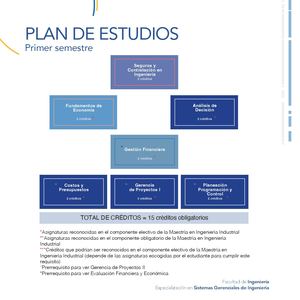 Plan De Estudios Especializacion En Sistemas Gerenciales De Ingenieria