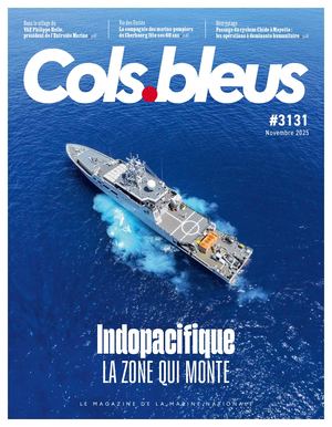 3131 - Novembre 2025