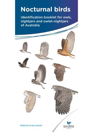 Nocturnal Birds ID Guide