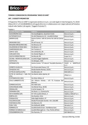 Brico io Card Termini E Condizioni 2023