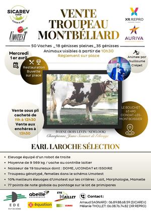 Vente Troupeau Montbéliard