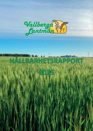 Hållbarhetsrapport 2025