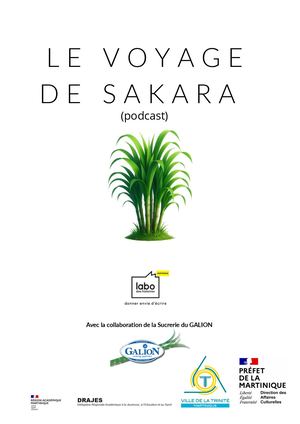 Le Voyage De Sarkara