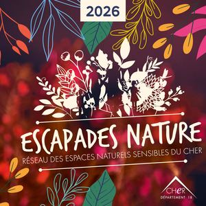 Guide des Animations [2026]
