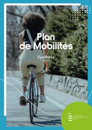 Plan Des Mobilites Synthese - CAE