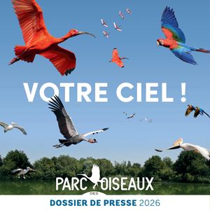 Dossier de presse 2026