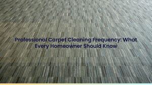 How Often Should Carpets Be Steam-Cleaned? Wisconsin Experts Explain