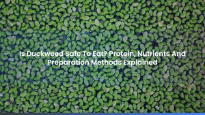 Is Duckweed Safe To Eat? Protein, Nutrients And Preparation Methods Explained
