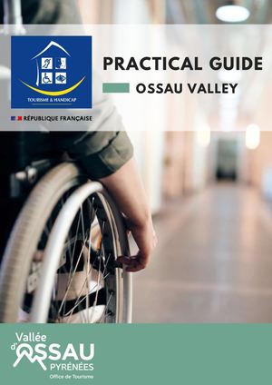 Practical Guide - Tourism and Disability
