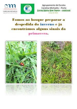 O Bosque pelo Clima em março