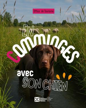 Guide En Comminges Avec Son Chien 2026