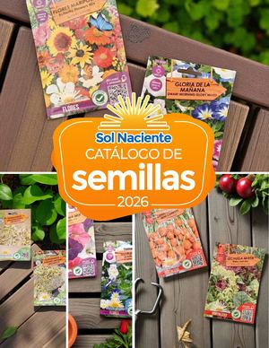 Catalogo De Semillas Con Precio