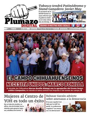 Plumazo Digital 751