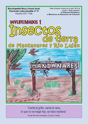 Insectos de tierra