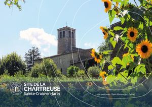 Propositions d'offres Taff Chartreuse