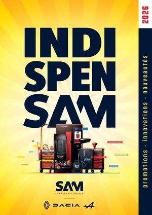 INDISPENSAM RENAULT 2026