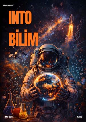 INTO JOURNAL - BİLİM, Cilt:2, Sayı:2