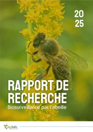Rapport Recherche Apilab 2025
