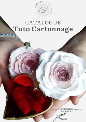 Catalogue Nov 25