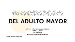 Necesidades Básicas Del Adulto Mayor