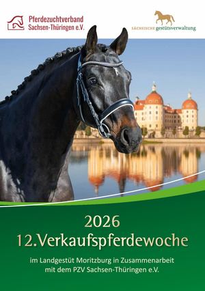 Katalog Verkaufspferdewoche 2026 Online