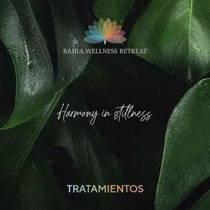 Treatments Brochure