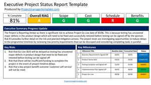 Executive Project Status Report Template | PMO Governance Framework