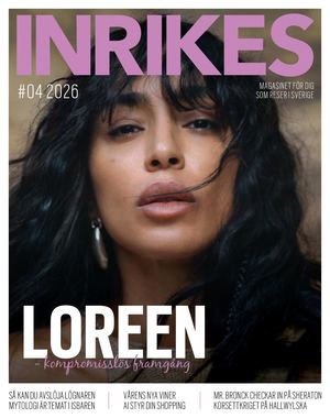 Inrikes 4 2026