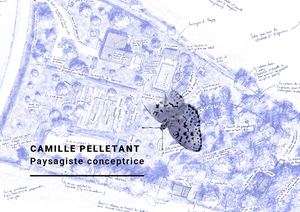 Portfolio | Camille Pelletant paysagiste conceptrice
