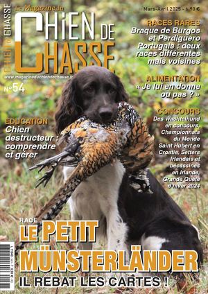 Magazine Du Chien De Chasse N°54 Du Compte Calameo De M Desroches