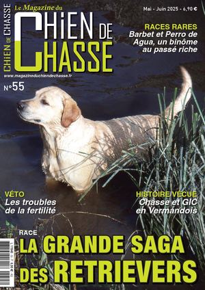 Magazine Du Chien De Chasse N°55 Du Compte Calameo De M Desroches